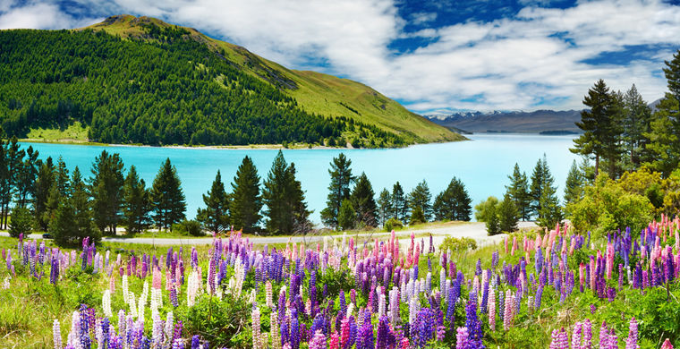 7a65b9bf2aec68ac7a90f7c449ff32c0 Как поехать в новую зеландию