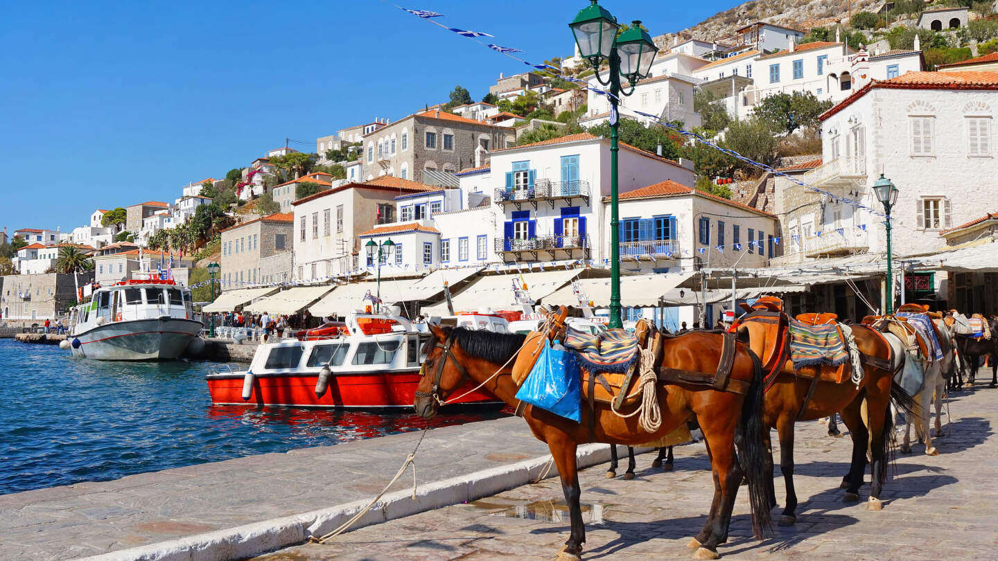 Построен амфитеатром вокруг порта