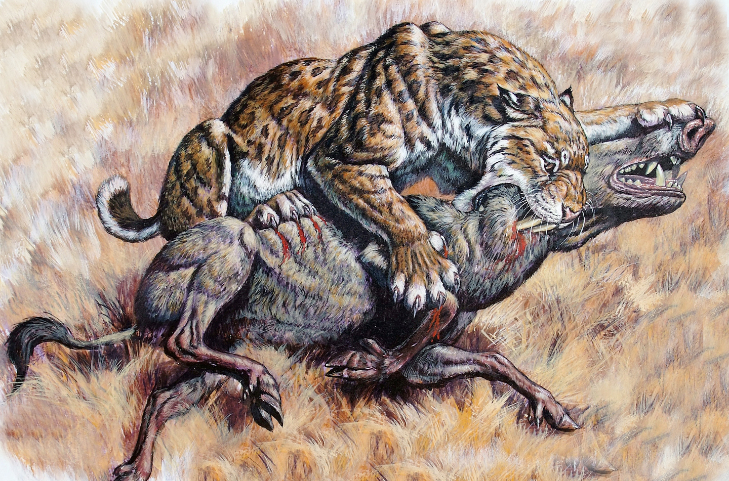 Чем питался тигр