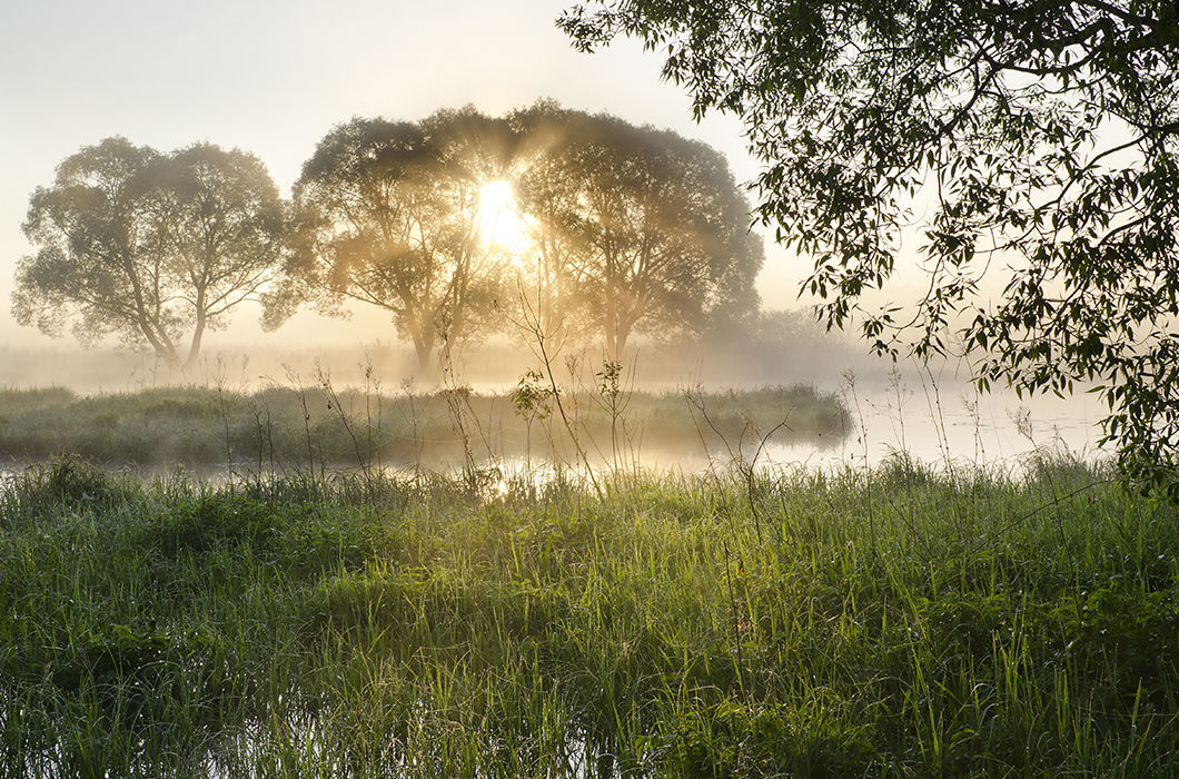 Магия утра. Город Балабаново, Калужская область. © Александр Юсупов