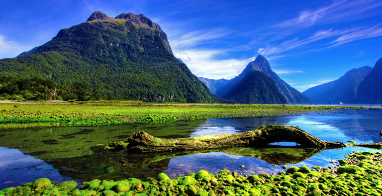 bf35fc39b6abaaa0007ec1256b96f4a3 Как поехать в новую зеландию