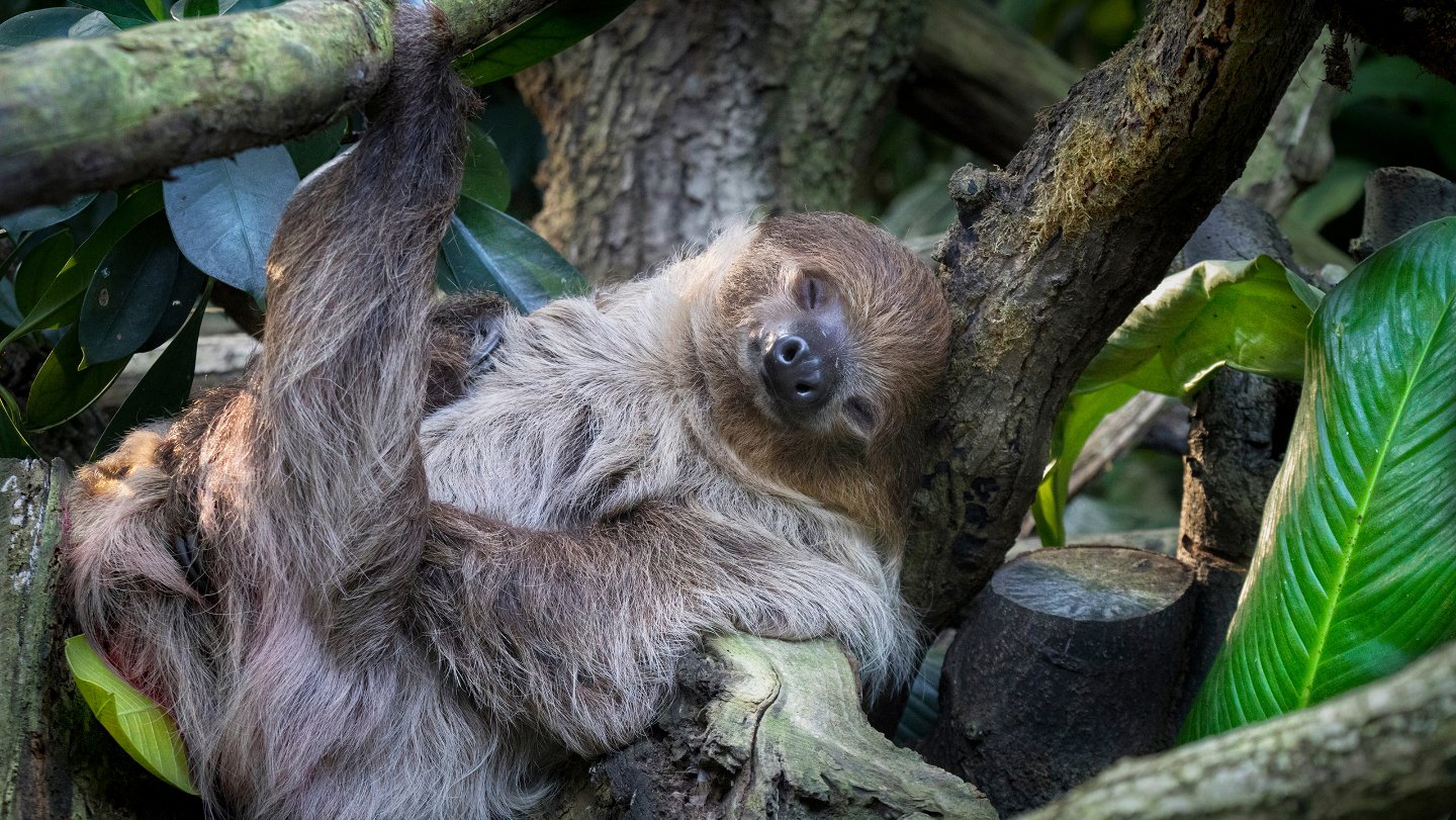 Образ жизни