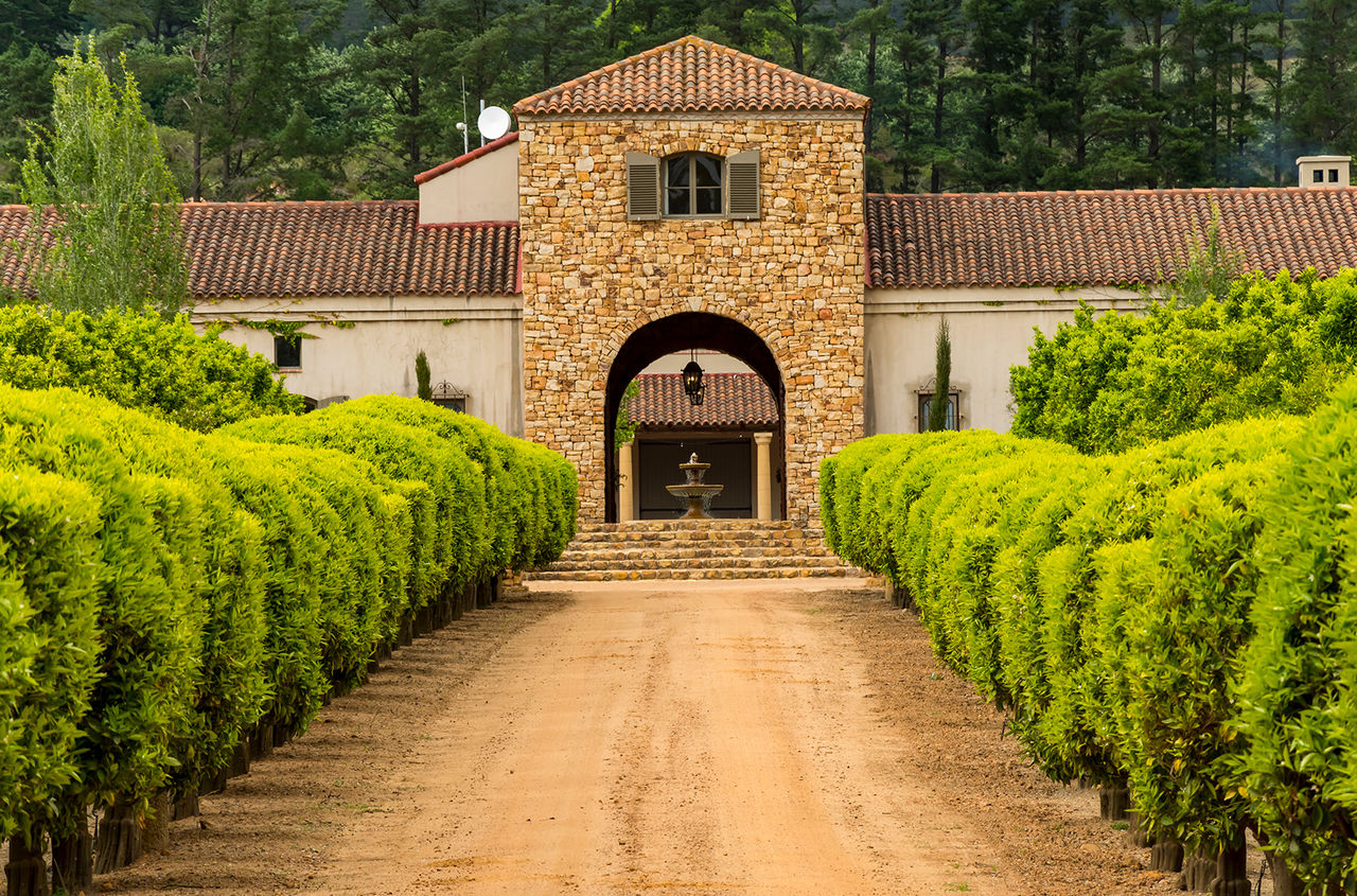 Винный регион Стелленбос рядом с Кейптауном