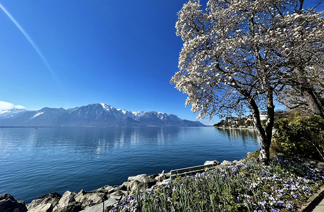 Деревня Кларанс в наши дни