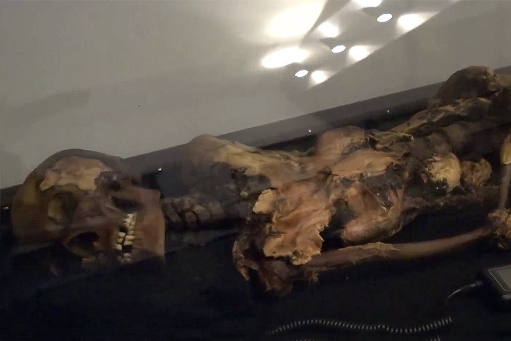 Лица давно умерших людей воссоздаются по их черепам. Высота скул, разрез глаз, форма носа и даже ушей — по словам ученых, всю эту информацию хранит череп