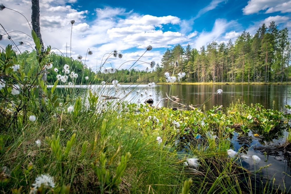 карелия весной