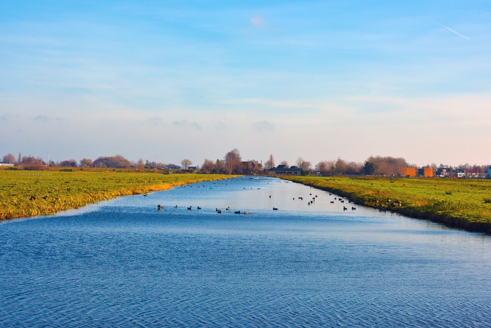 велна и нельба