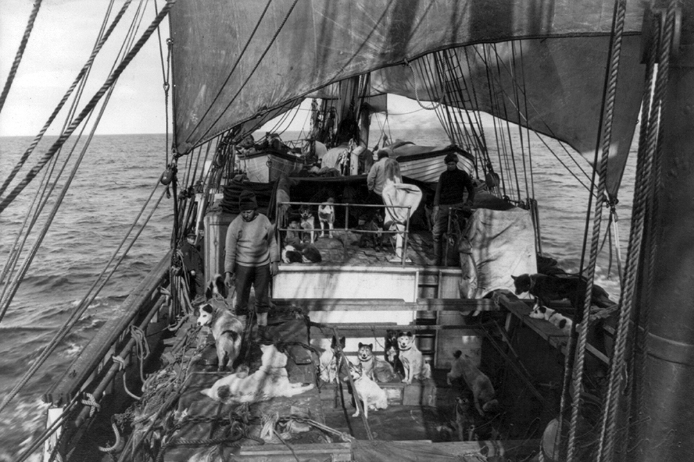 К антарктической экспедиции 1910–1913 годов барк «Терра Нова» получил дополнительную дубовую обшивку от носа до кормы. Курс на Антарктиду. 1910 год