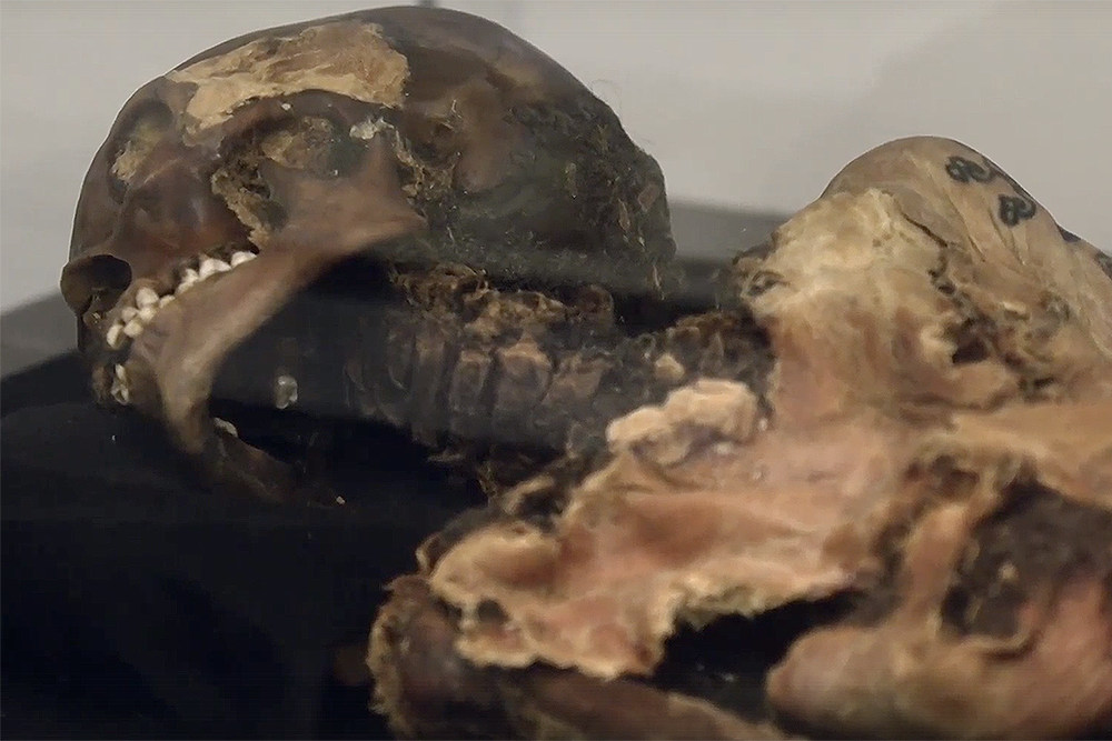 Это же подтвердили и исследования ДНК алтайской мумии