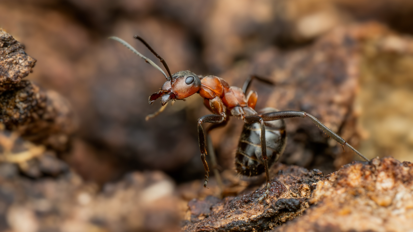 Землетрясения